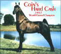 1987 WGCh Coins Hard Cash