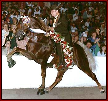 1994 World Grand Champion, Gen's Armed And Dangerous, Russ Thompson in the irons.