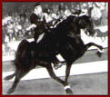 Carbon Copy - 1964 World Grand Champion
