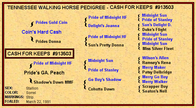 Cash For Keeps Pedigree