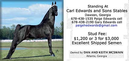 Click here to contact Edwards Stables