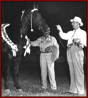 Tennessee Walking horses - MSChamp.jpg (27807 bytes)