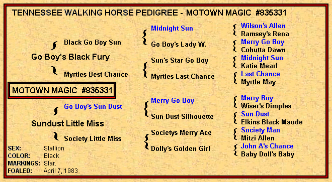 Motown Magic Pedigree