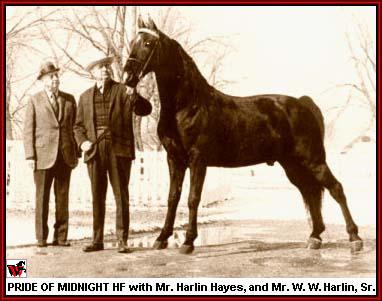 Pride Of Midnight and Harlin Hayes and W W Harlin, Sr.
