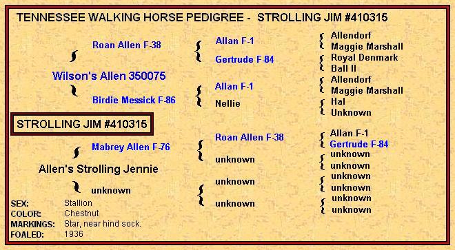 Strolling Jim Pedigree - click on the blue names for more information.