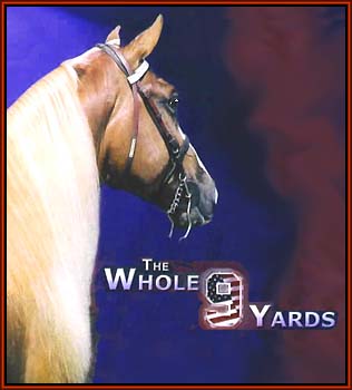 The Whole Nine Yards, the 2003 World Grand Champion Tennessee Walking Horse.