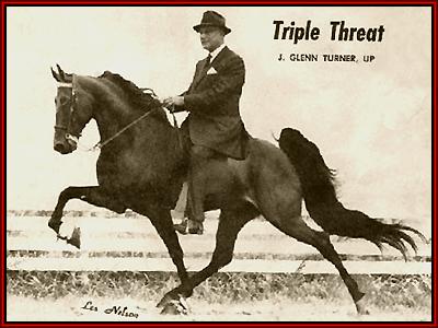 Triple Threat with J. Glenn Turner up.