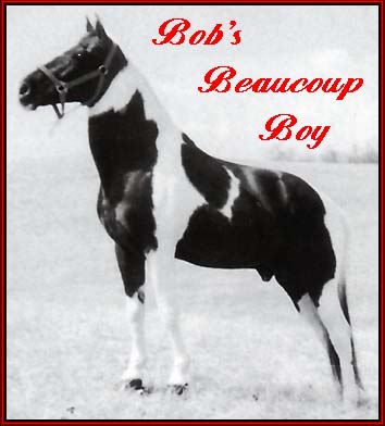 Bob's Beaucoup Boy