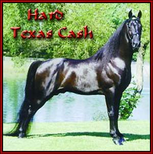 Hard Texas Cash