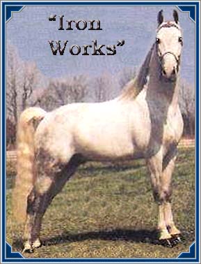 "IRON WORKS"  WC Plantation Pleasure Horse