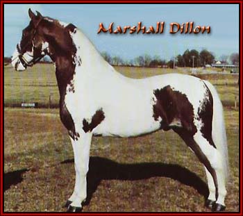 Marshall Dillon