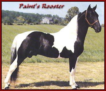Paint's Rooster