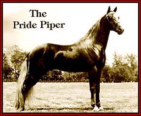 The Pride Piper
