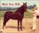 Black Dust MR