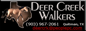 DEER CREEK WALKERS produces top quality Tennessee Walking Horses with correct conformation and natural gaits in Texas, with a focus on BREEDING for gaits NOW, instead of TRAINING for gaits LATER!  Standing Judge's Criminal Justice and Im Your Golden Huckleberry.