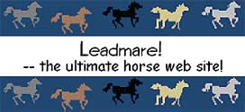 Leadmare !  -- the ultimate horse web site !
