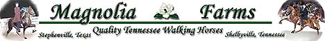 Magnolia Farms in Texas and Tennessee - For top quality Tennessee Walking Horses