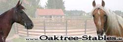 Oaktree Stables in Germany
