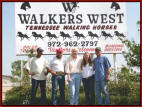 The Walkers West Staff